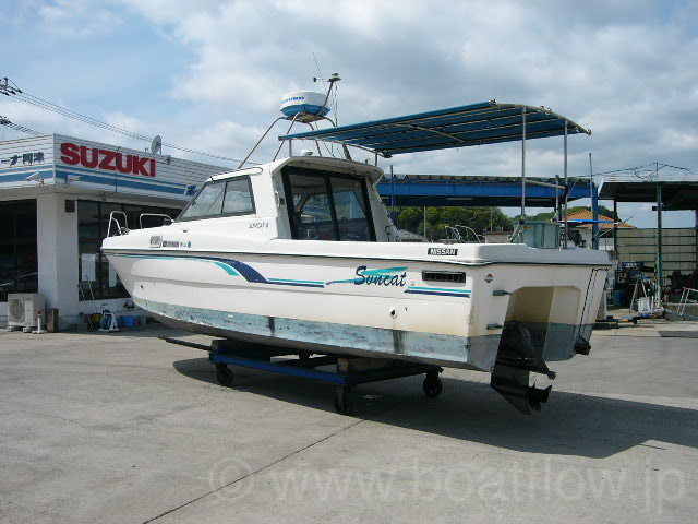 Nissan suncat 8