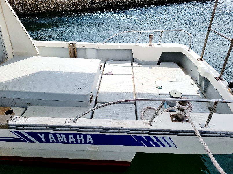 YAMAHA YDX-33 STERN DRIVE used boat in Japan for sale | boatflow.jp