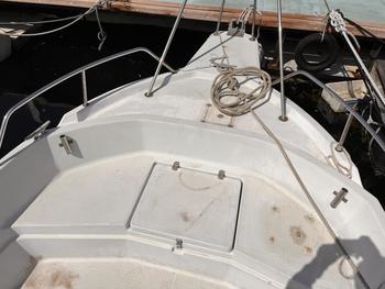 thumb_066967-yanmar-fx24z