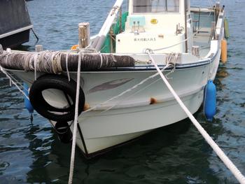 thumb_087440-yanmar-de33b