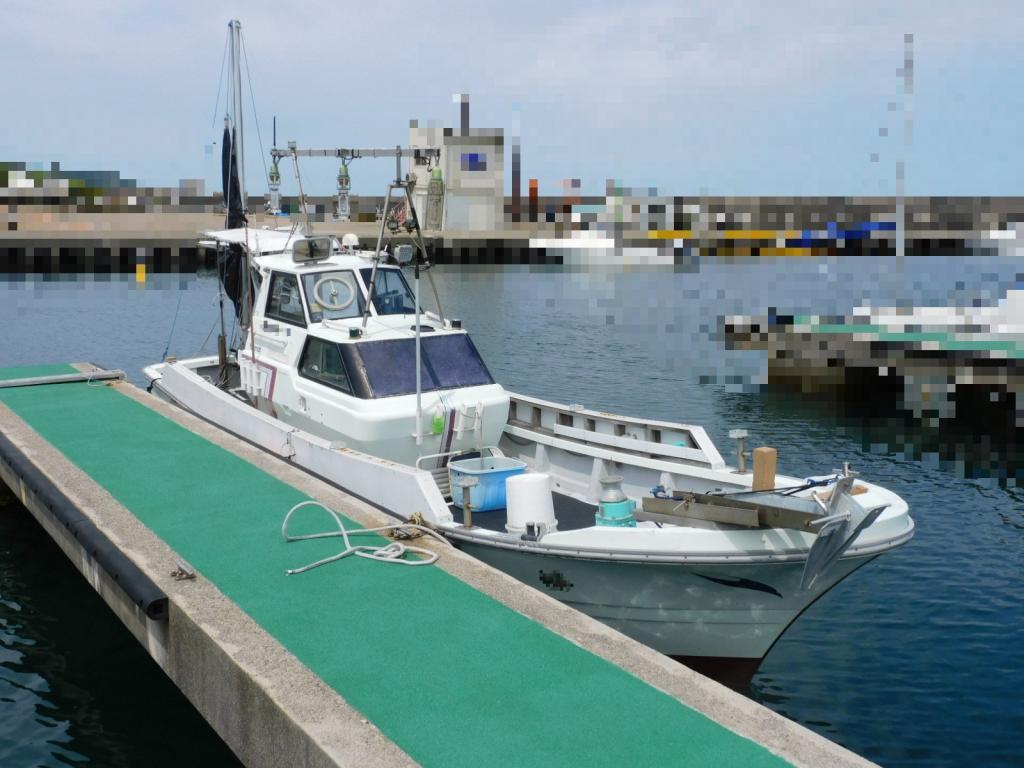 banner_087566-yanmar-de30ez