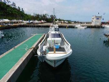 thumb_087566-yanmar-de30ez