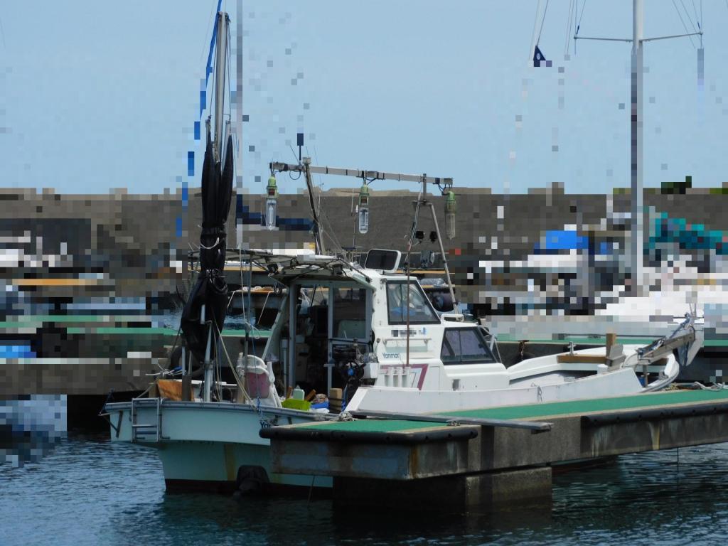 banner_087566-yanmar-de30ez