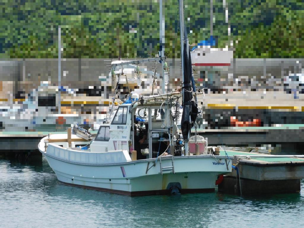 banner_087566-yanmar-de30ez