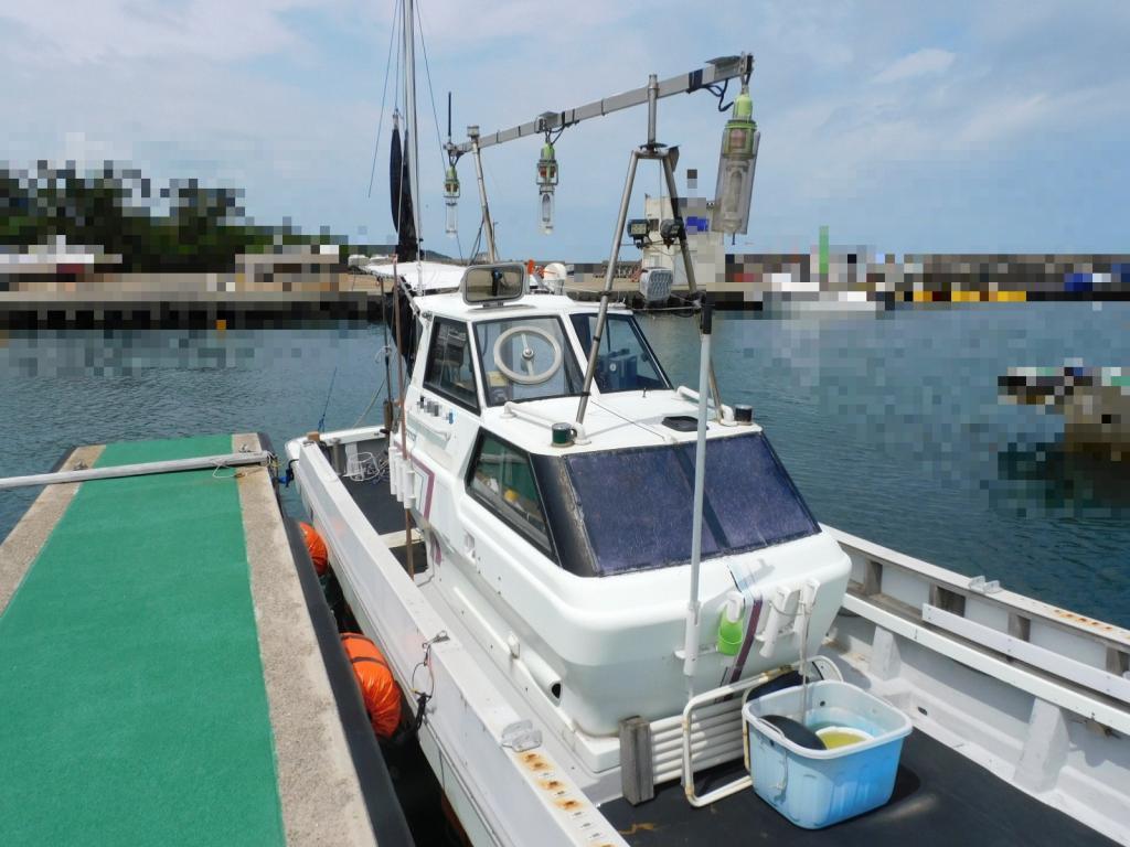 banner_087566-yanmar-de30ez