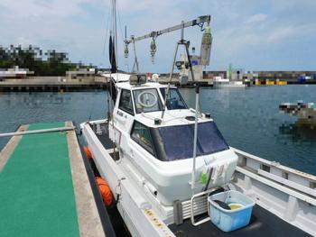 thumb_087566-yanmar-de30ez