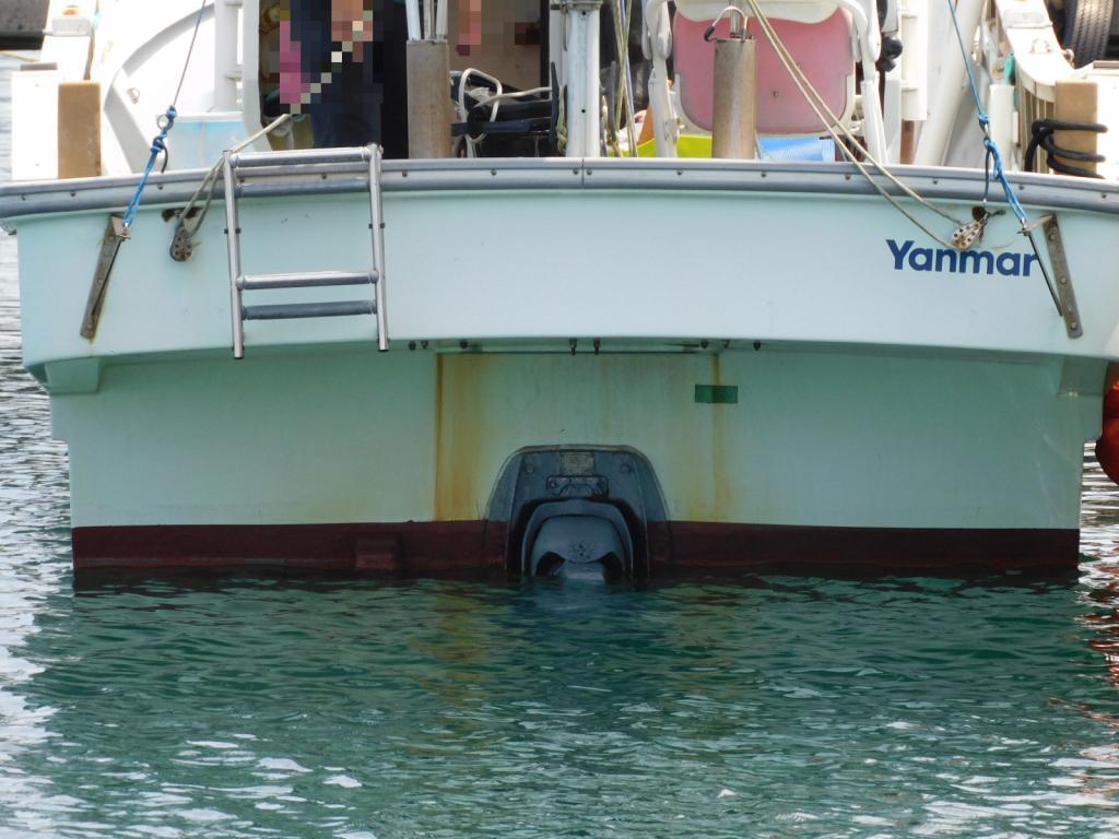 banner_087566-yanmar-de30ez