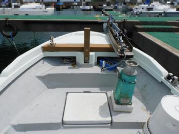thumb_087566-yanmar-de30ez