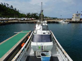 thumb_087566-yanmar-de30ez