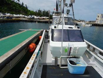 thumb_087566-yanmar-de30ez