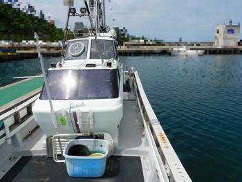 thumb_087566-yanmar-de30ez