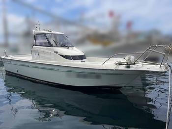 thumb_087567-yanmar-fx24z