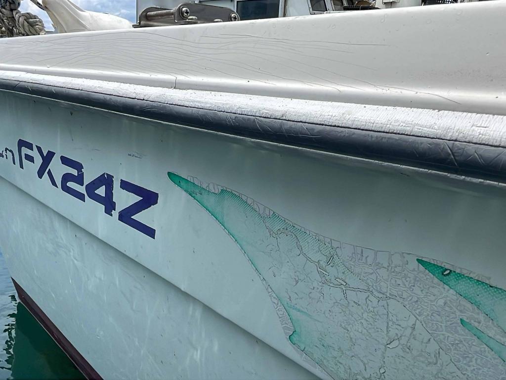 banner_087567-yanmar-fx24z