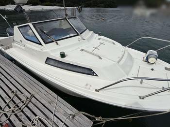 thumb_087668-yamaha-fr-23