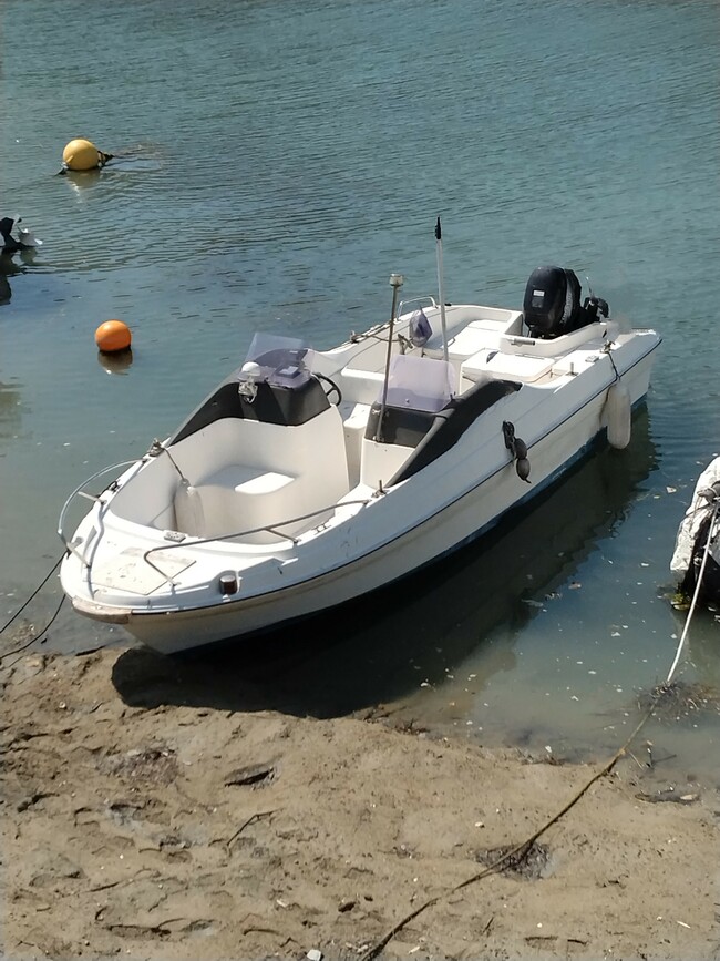medium_087717-yamaha-srv-20