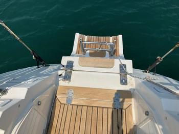 thumb_087723-swan-40