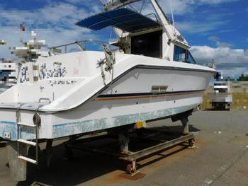 thumb_087736-yamaha-fr-34