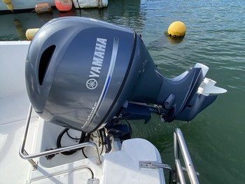 thumb_087866-yamaha-as-21-aero-sports-21