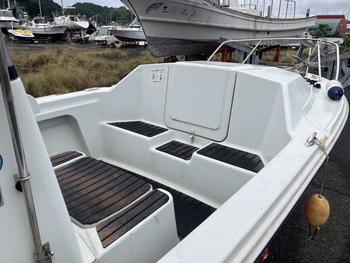 thumb_087883-yamaha-ff-20