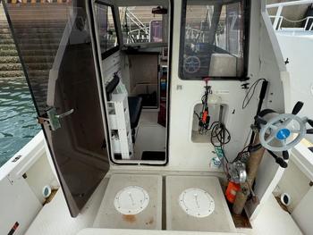 thumb_087951-yanmar-ex29z