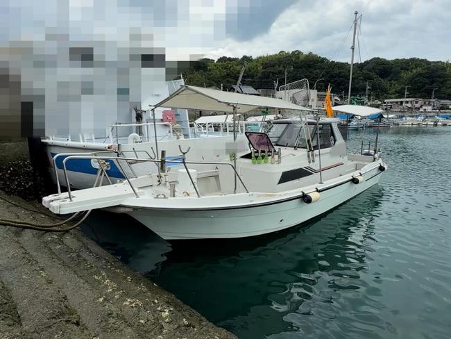 medium_087951-yanmar-ex29z