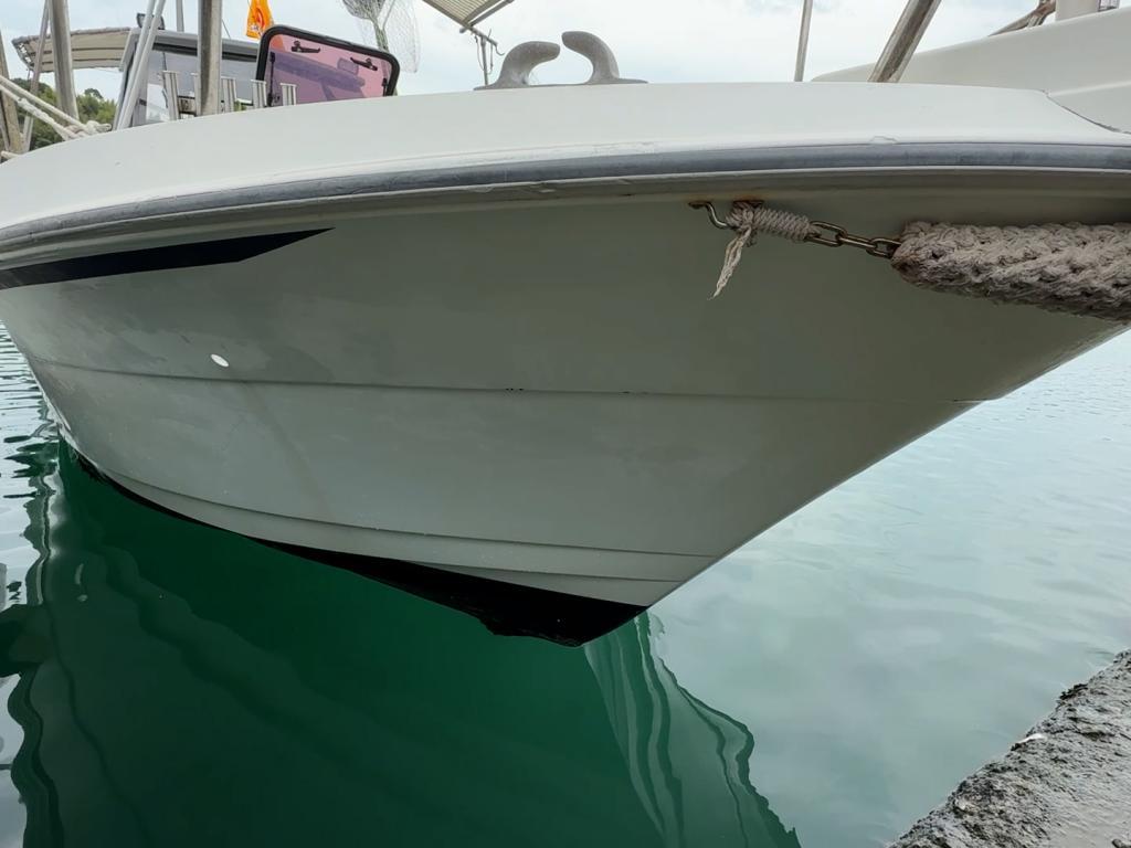 banner_087951-yanmar-ex29z