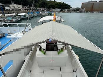 thumb_087951-yanmar-ex29z