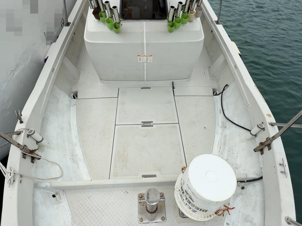 banner_087951-yanmar-ex29z