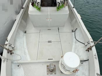 thumb_087951-yanmar-ex29z