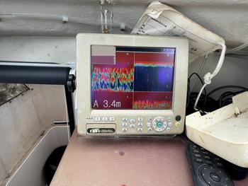 thumb_087951-yanmar-ex29z