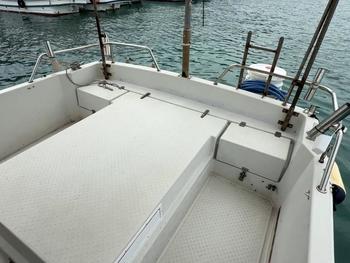 thumb_087951-yanmar-ex29z