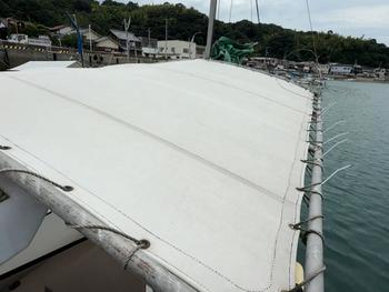 thumb_087951-yanmar-ex29z