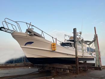 thumb_088074-yamaha-dy-43