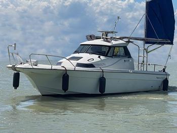 thumb_088076-yanmar-fx32z