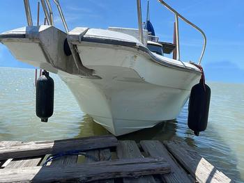 thumb_088076-yanmar-fx32z