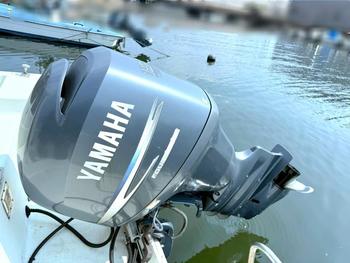 thumb_088134-suzuki-f250