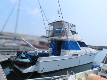 thumb_088222-yamaha-sf-51