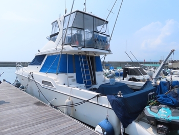 thumb_088222-yamaha-sf-51