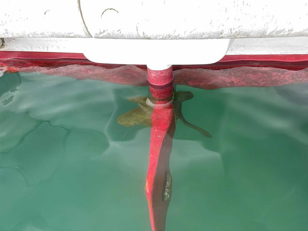 banner_088323-tsurunaga-shipyard-fishing-vessel