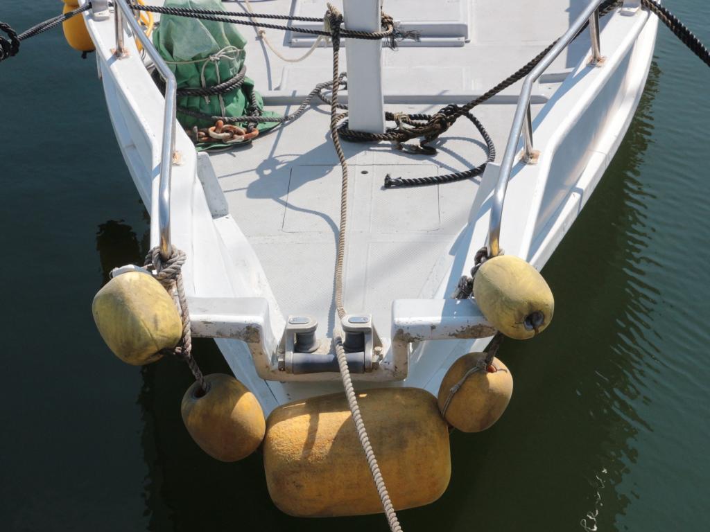 banner_088359-tsutsui-boats-tb45