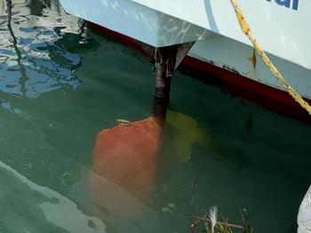thumb_088397-yanmar-de27