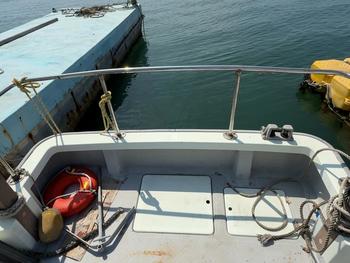 thumb_088397-yanmar-de27