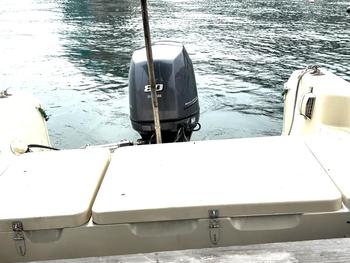 thumb_088400-yamaha-f-22-fish-22