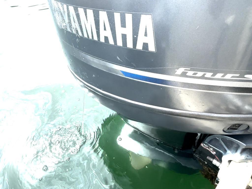 banner_088400-yamaha-f-22-fish-22