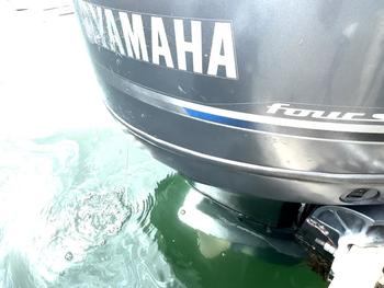 thumb_088400-yamaha-f-22-fish-22