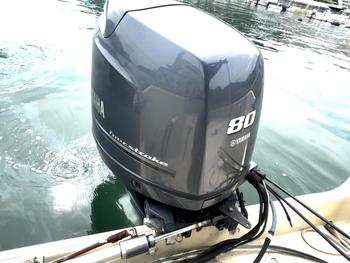 thumb_088400-yamaha-f-22-fish-22