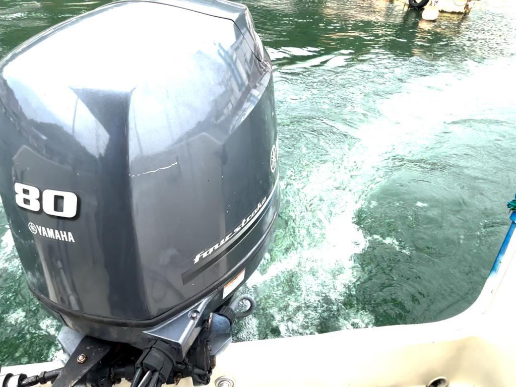 banner_088400-yamaha-f-22-fish-22