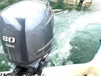 thumb_088400-yamaha-f-22-fish-22