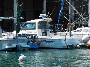 thumb_088565-yanmar-fx26bz-ik