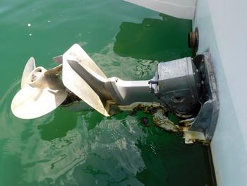 thumb_088565-yanmar-fx26bz-ik